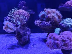 -海合安武汉极地海洋公园