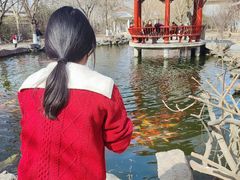 -大悲禅寺