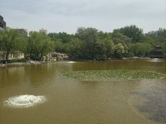 -西安市长乐公园