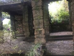 -南山植物园