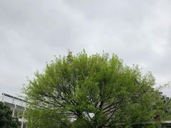 -潮喜竹溪荔湖酒家(荔枝湾店)