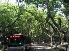 -太子山公园(园东路)
