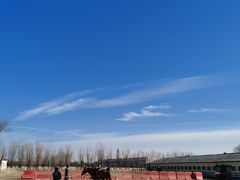 -北京群众马术培训基地