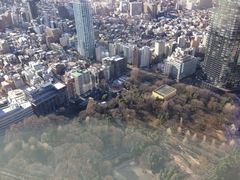 -东京都厅舍