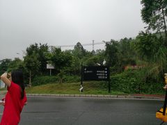 -美的鹭湖森林度假区