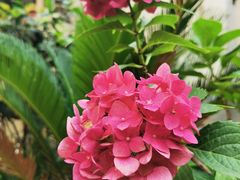 -思南公馆