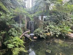 -墨尔本博物馆(Melbourne Museum)