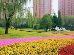 -迎泽公园