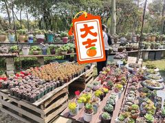 -广东花都香草世界旅游度假区