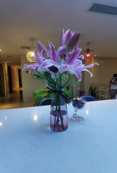 -比华利美容医院