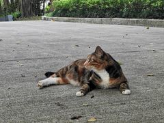 -荔香公园