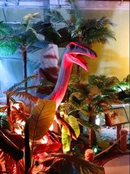 -恐龙探索乐园(磁器口店)