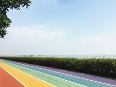 -贡湖湾湿地公园
