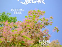 -周口店坡峰岭风景区