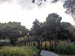 -四海公园(南山区)