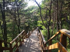 -中国石化珲春中街加油站