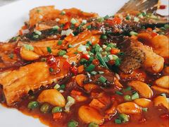-楚鱼王·河鲜·湖北菜(华农店)