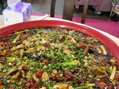 来凤鱼-东吴霸王兔(松青路店)
