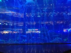 -成都浩海立方海洋公园