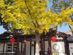 -常熟方塔园
