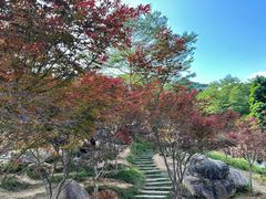 -广州市帽峰山景区