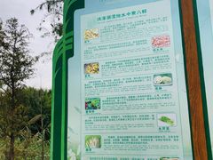 -泗洪洪泽湖湿地景区