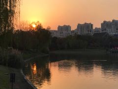 -南翔镇银翔湖公园