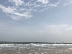 -渡海小渔村.老辈日照菜