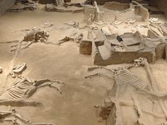 -洛阳周王城天子驾六博物馆