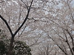 -堤角公园