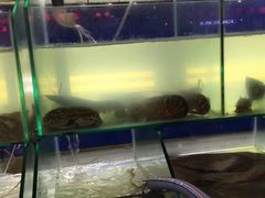 -海滨假日渔家海鲜