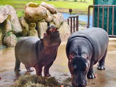 -大连森林动物园