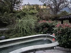 -大盘山温泉山庄