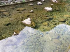 -宁波五龙潭景区