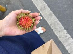 -瓦洛洛传统市场