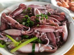 白灼鲜鱿-海上驿站渔家菜馆