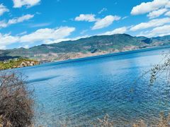 -双廊杨记石锅鱼石锅牛肉