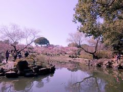 -无锡梅园公园