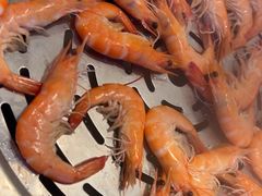-青蓬海上捞蒸品海鲜城(海岸城店)