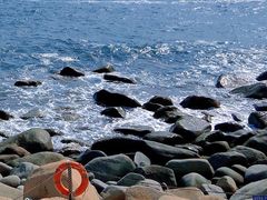 -广东惠东海龟国家级自然保护区