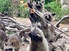 -宁波野生动物园