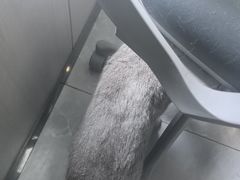 -半岛宠物医院24小时(西派城店)