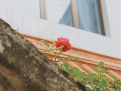 -龙瀑仙洞