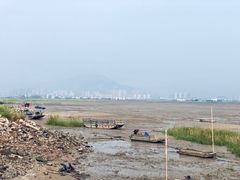 -北岐滩涂