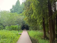 -溱湖国家湿地公园