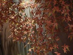 -满堂匠心川宴·私房菜(天府三街店)