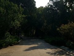 -阳台山自然风景区