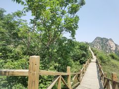 -大岭沟猕猴桃谷风景区