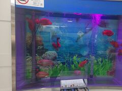 -雅悦齿科(顾村公园店)