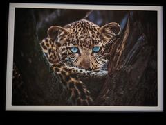 -罗红摄影艺术馆